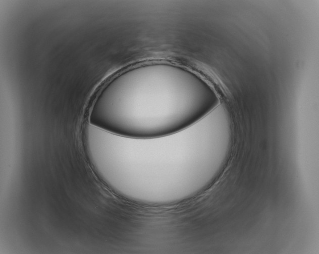 X0000113051260200908271047