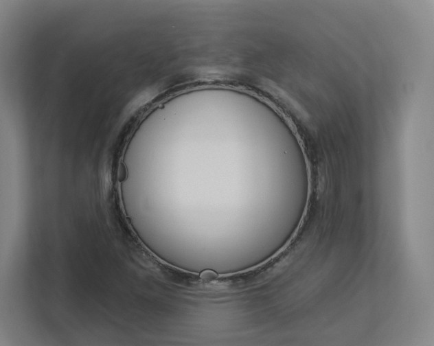 X0000113051261200908271047