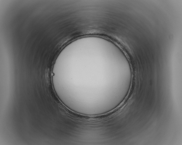 X0000113051265200908271047