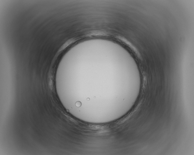 X0000113051266200908271047