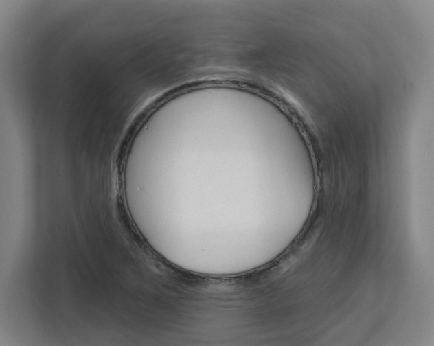 X0000113051267200908271047