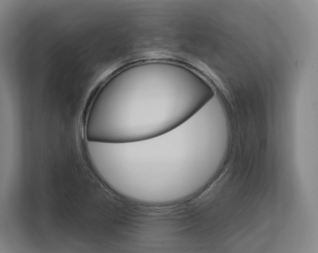 X0000113051269200908271047