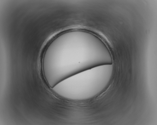 X0000113051270200908271047