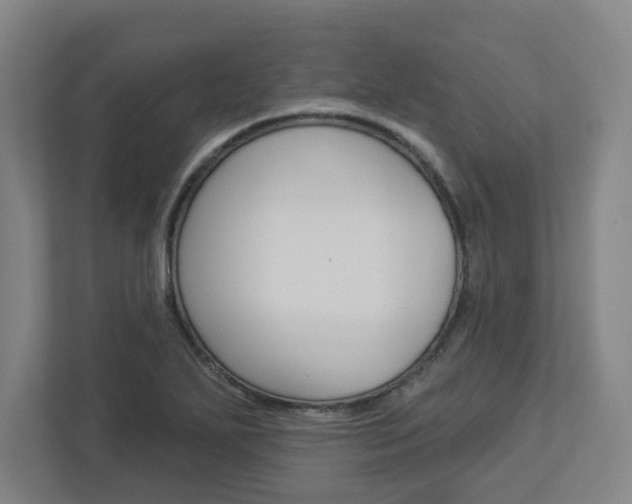 X0000113051271200908271047