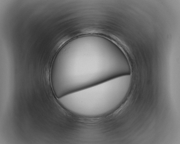 X0000113051273200908271047