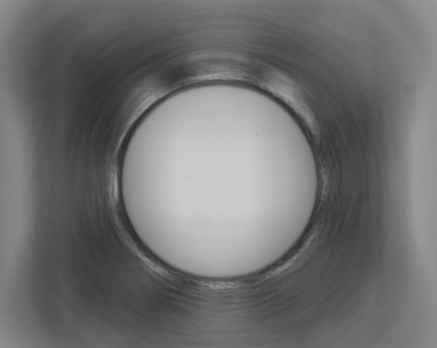 X0000113051274200908271047