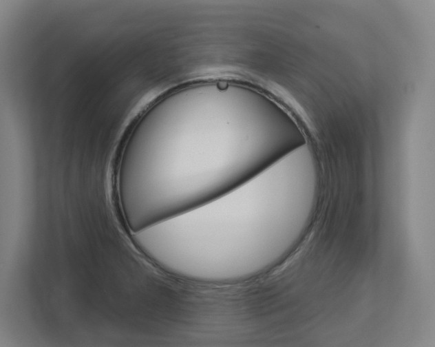 X0000113051277200908271047