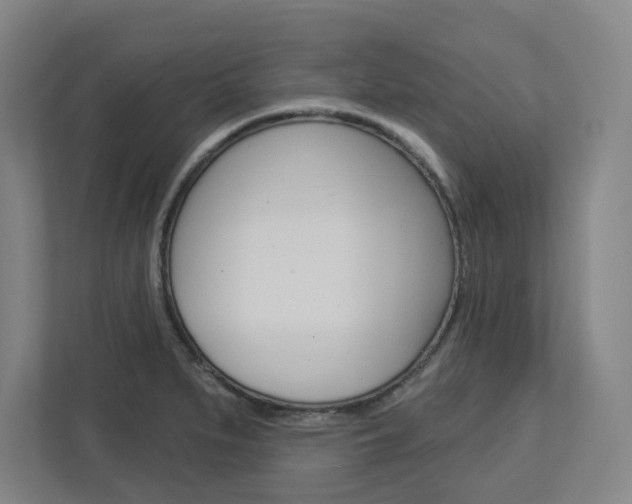 X0000113051279200908271047