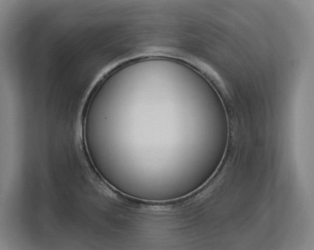 X0000113051280200908271047