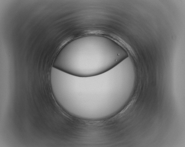 X0000113051281200908271047