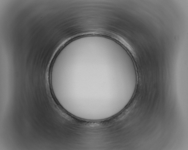 X0000113051283200908271047