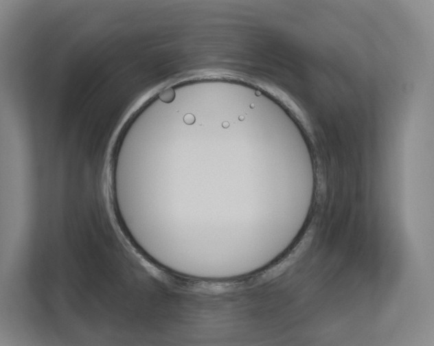 X0000113051286200908271047