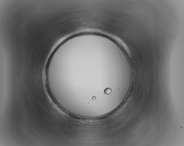 X0000113051287200908271047