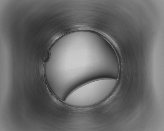 X0000113051289200908271047