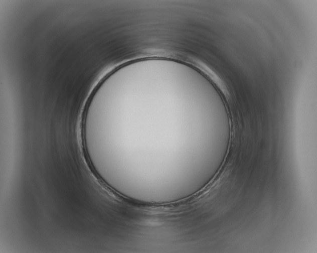 X0000113051291200908271047