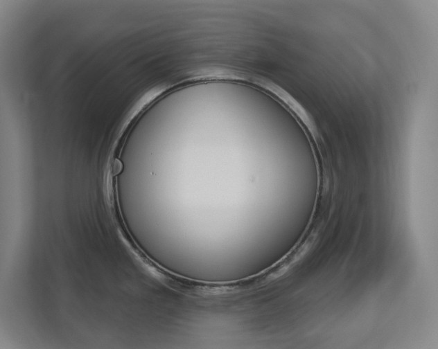 X0000113051293200908271047