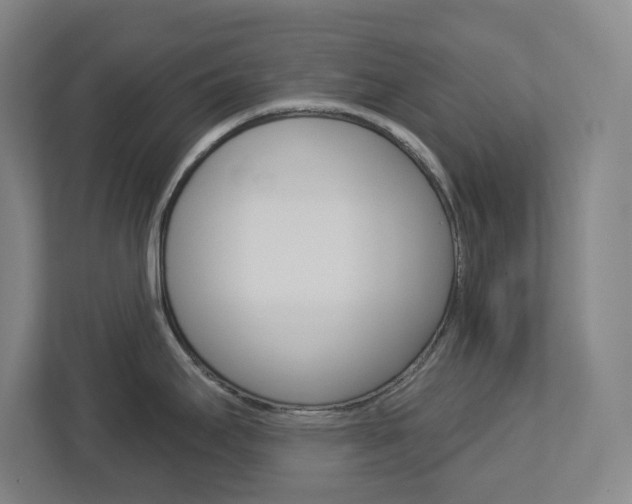X0000113051295200908271047