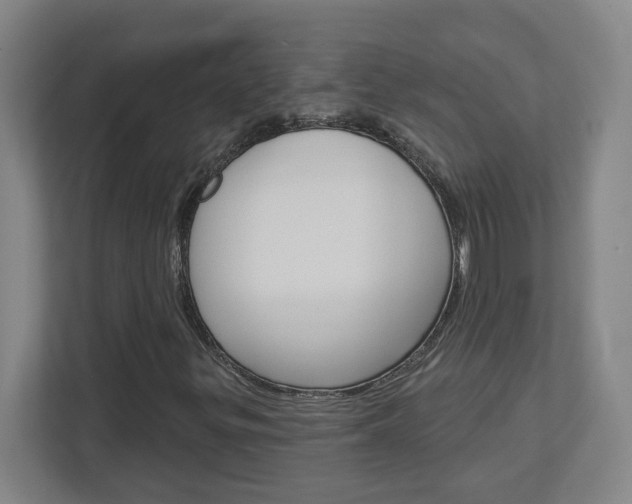 X0000113051299200908271046
