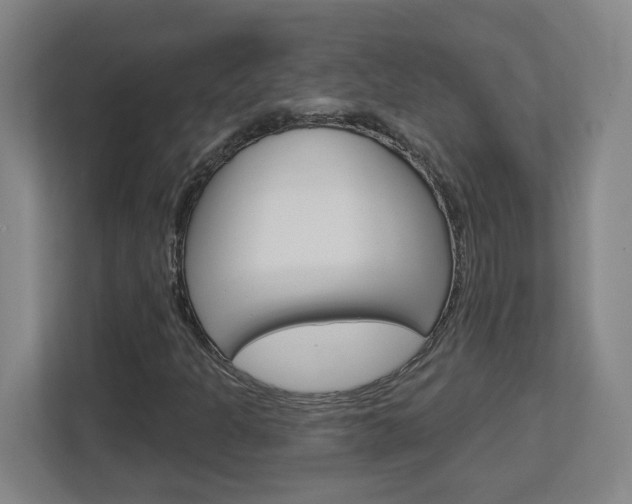 X0000113051301200908271046