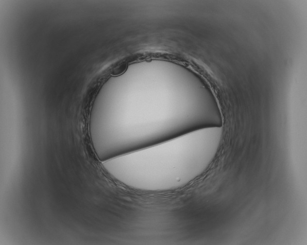 X0000113051303200908271046