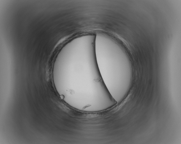 X0000113051306200908271046