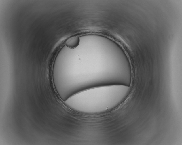 X0000113051307200908271046