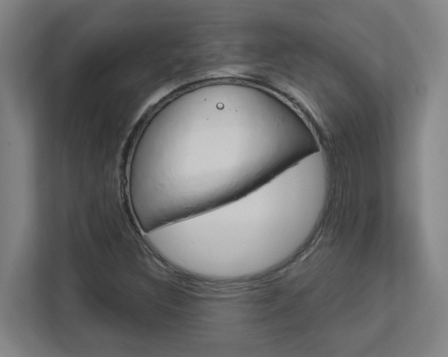 X0000113051308200908271046