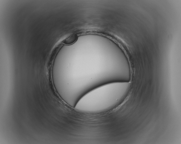 X0000113051309200908271046