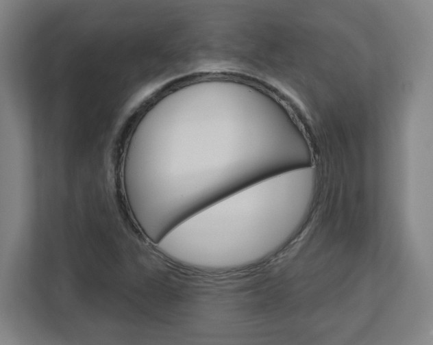 X0000113051311200908271046