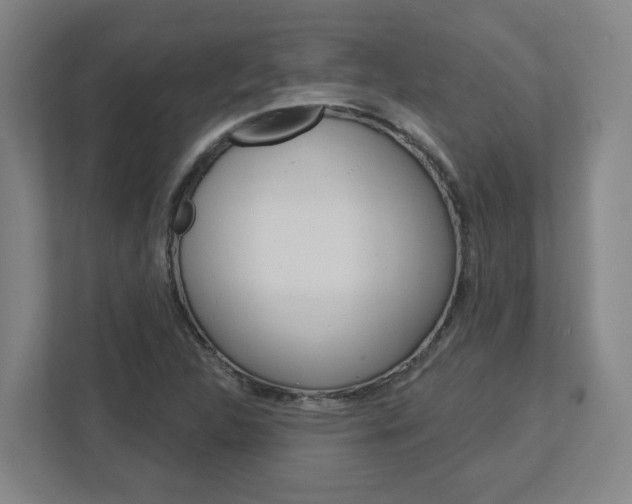 X0000113051312200908271046