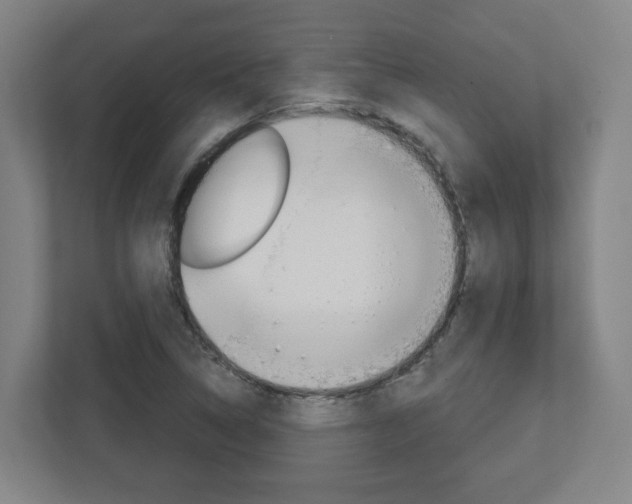 X0000113051314200908271047