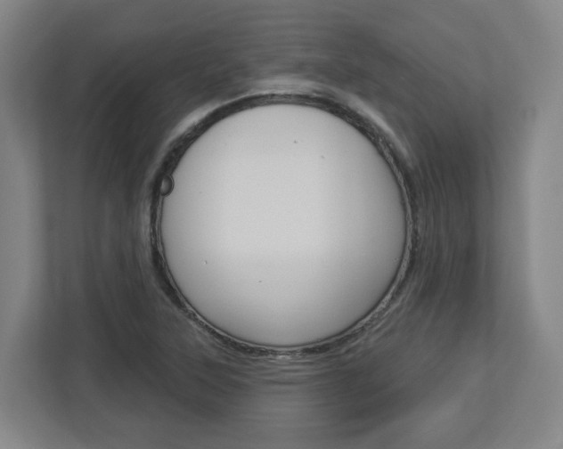 X0000113051315200908271047