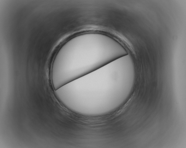 X0000113051318200908271047