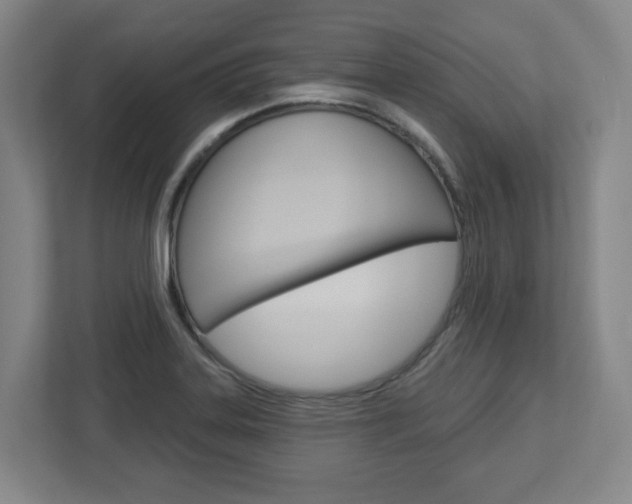 X0000113051323200908271047