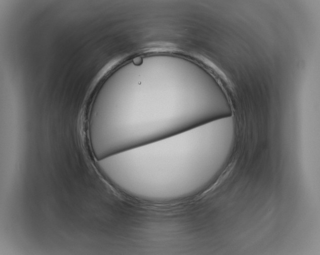 X0000113051325200908271047