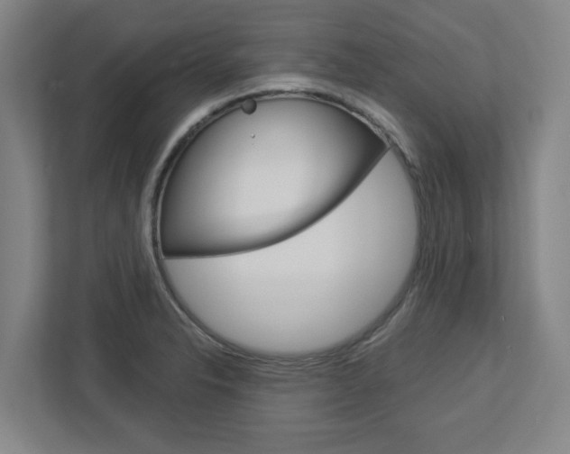 X0000113051326200908271047