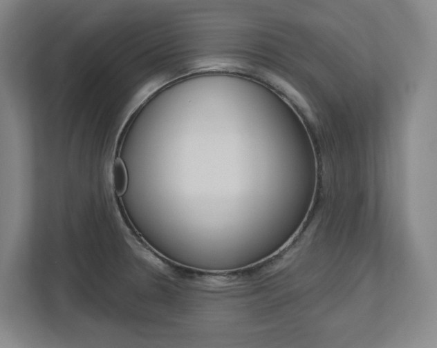 X0000113051330200908271047
