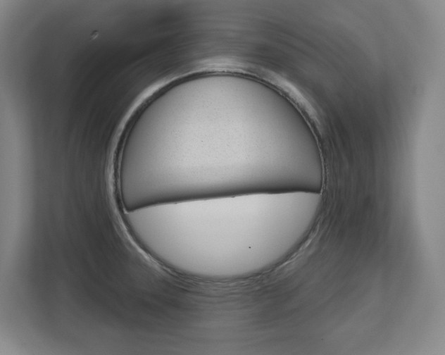 X0000113051331200908271047