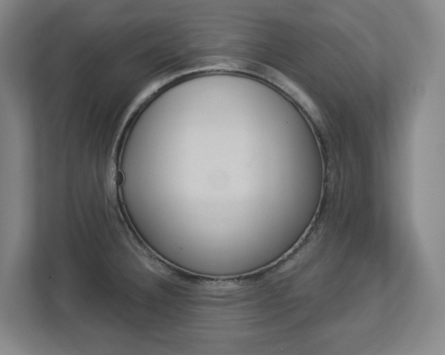 X0000113051332200908271047