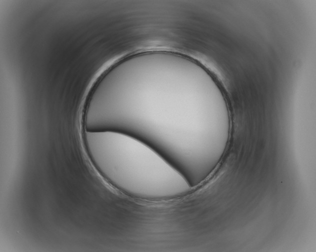 X0000113051333200908271047