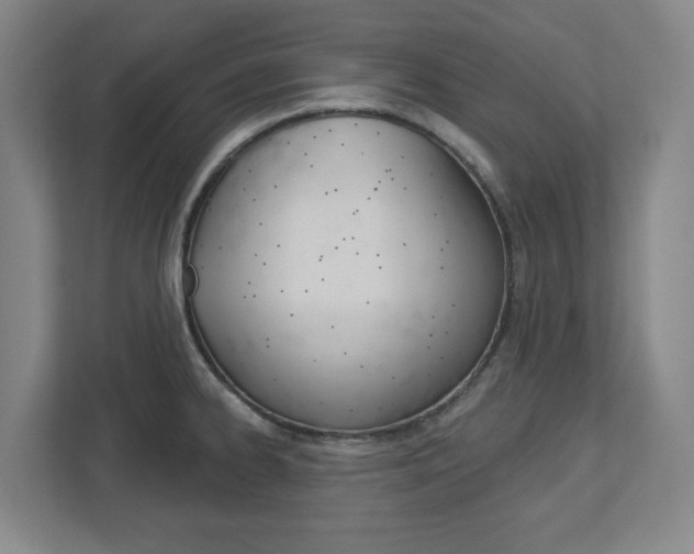 X0000113051334200908271047