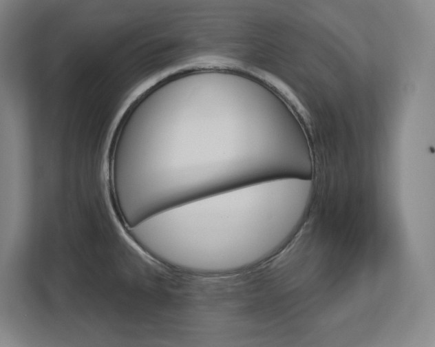 X0000113051335200908271047