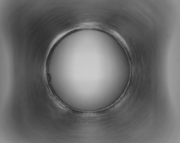 X0000113051336200908271047