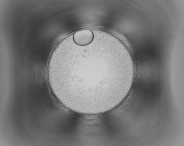 X0000113051338200908271047