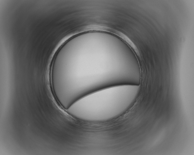 X0000113051339200908271047