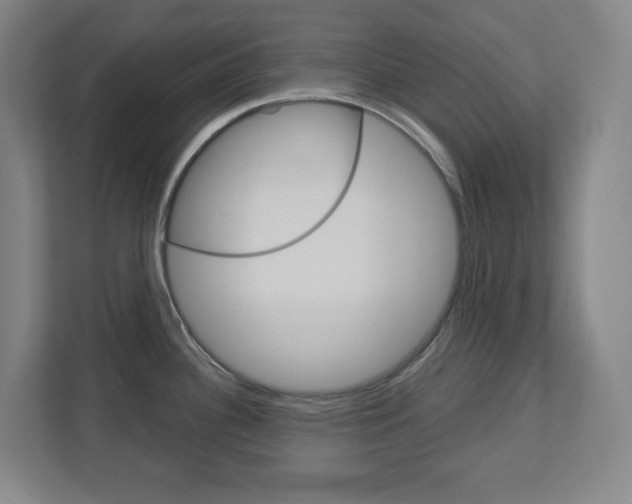 X0000113051340200908271047