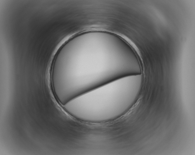 X0000113051341200908271047