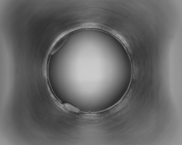 X0000113051342200908271047