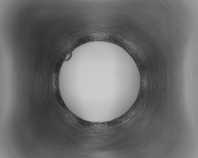 X0000113051346200908271046