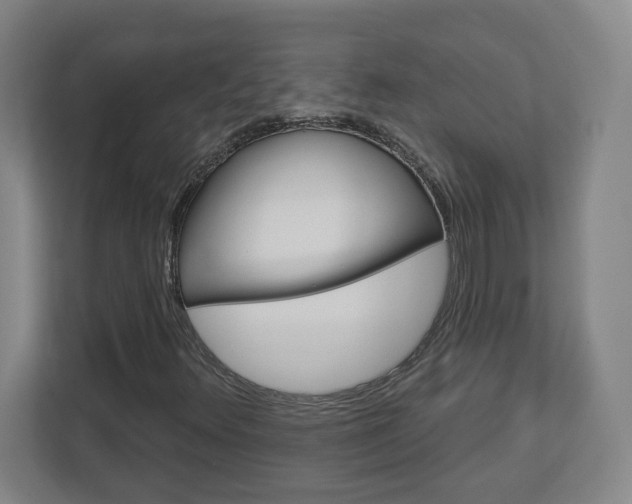 X0000113051348200908271046